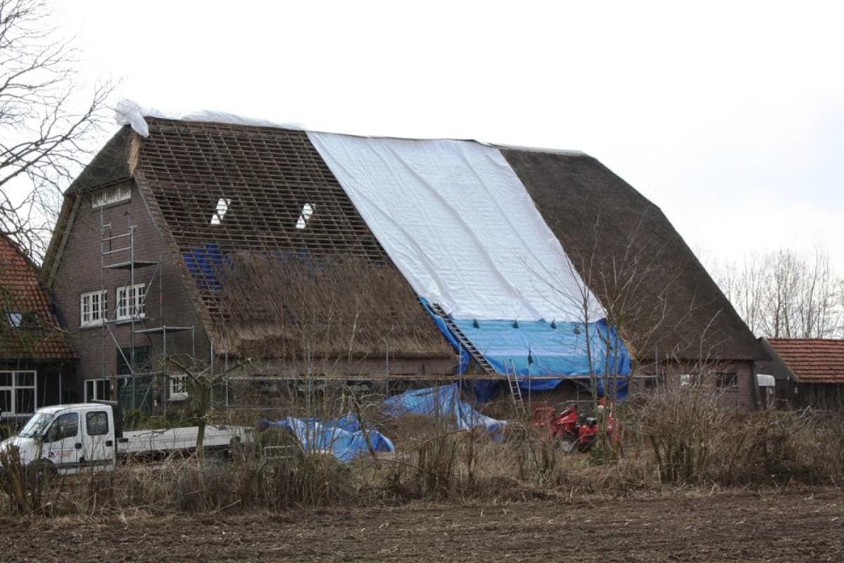 Little Jumbo 34221015 Dekzeil - Wit - 10 X 15m - 220gr/m² thumbnail 3