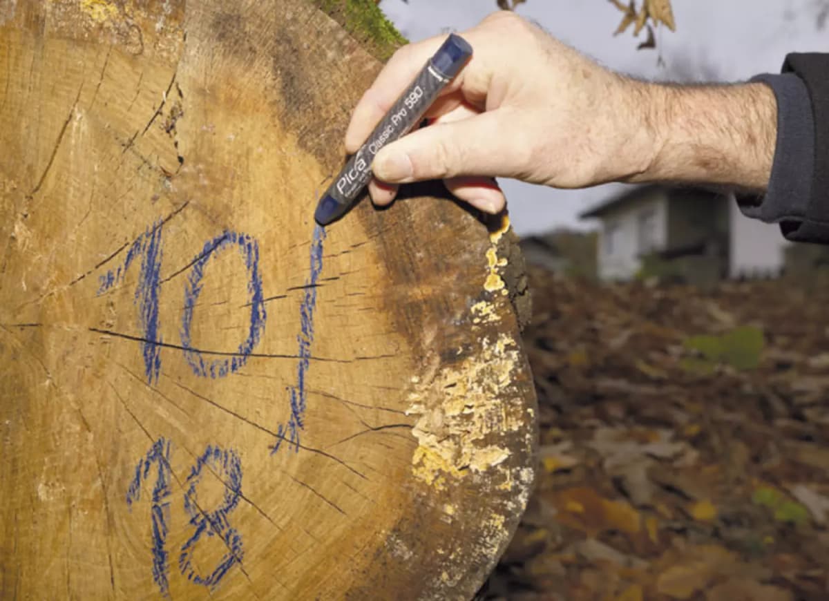 Pica 590/52 Markeerkrijt Pro - Wit - 12x120mm (12st) thumbnail 4