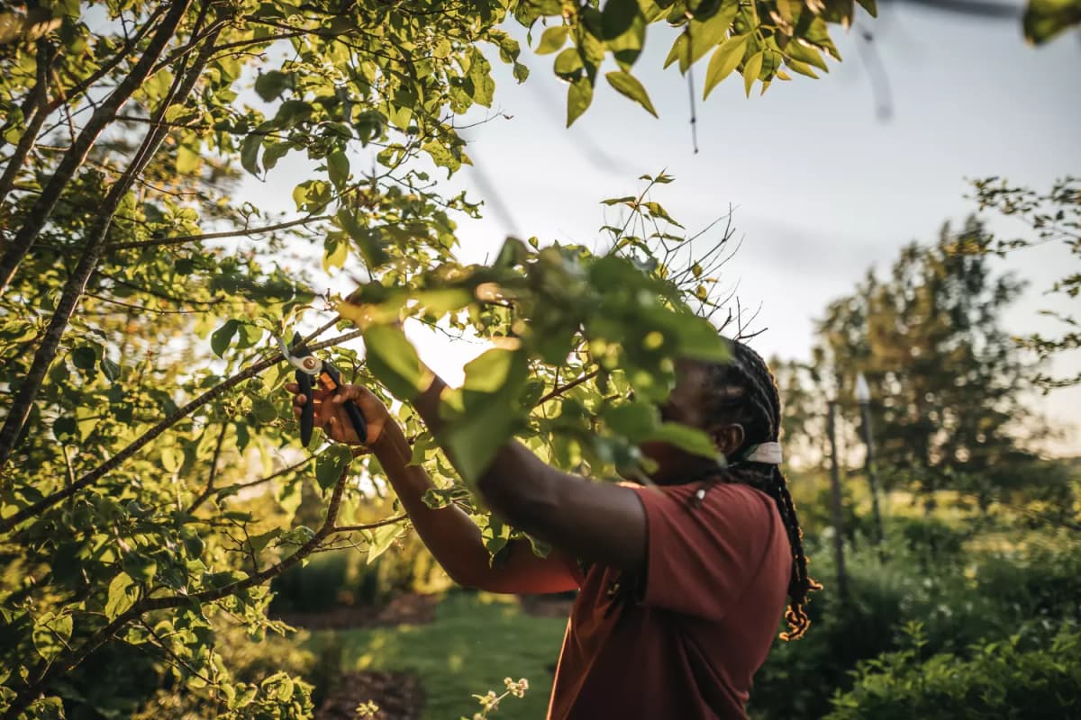 Fiskars 1057162 Solid Snoeischaar Bypass M P321 - 20mm thumbnail 3