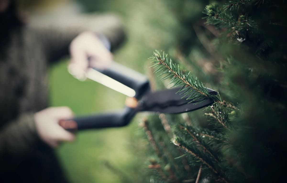 Fiskars HS22 Heggenschaar thumbnail 4