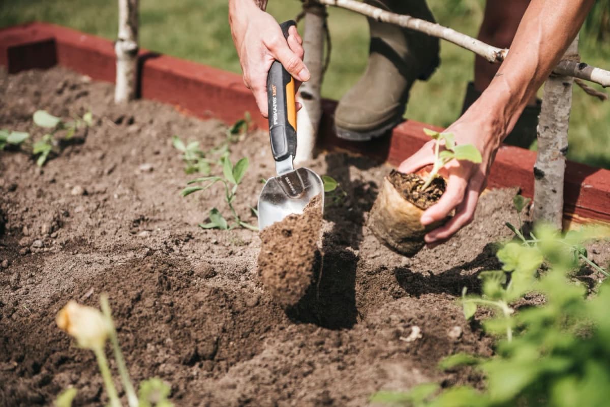 Fiskars 1027043 Xact Plantenschep - 375mm thumbnail 4