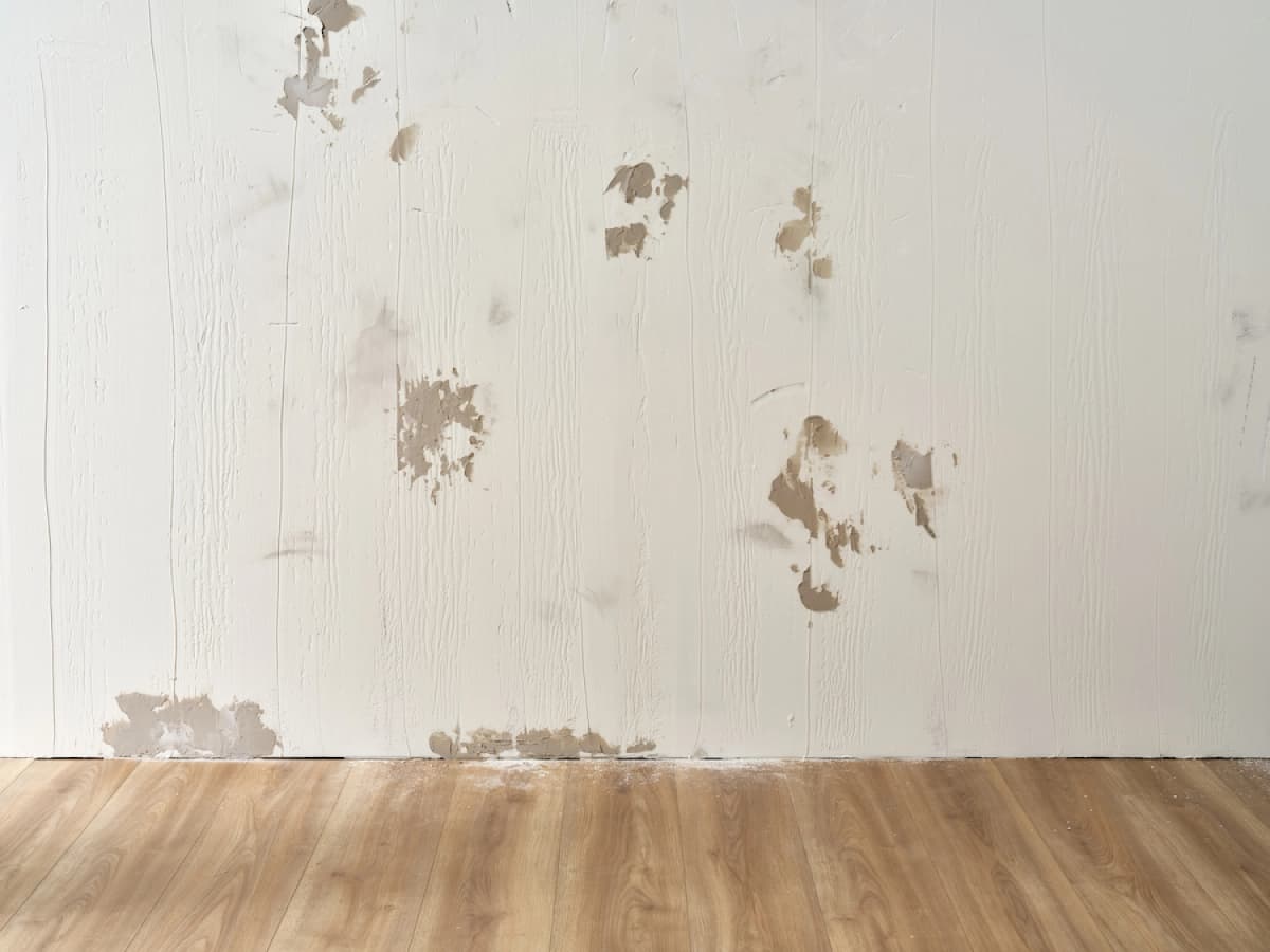 Alabastine Muurglad - Pasta - 2,5L thumbnail 2