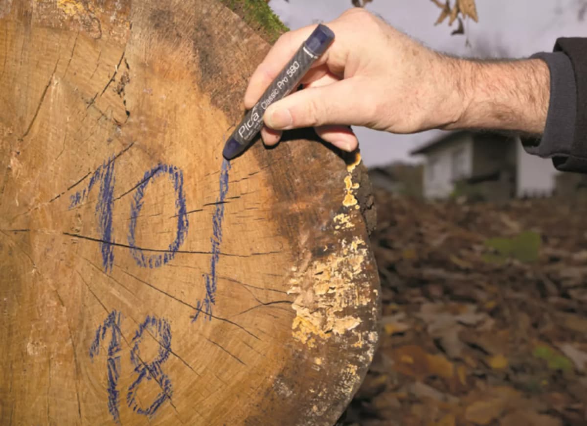 Pica 590/44 PRO Markeerkrijt - Geel - 12 X 120mm (12st) thumbnail 3