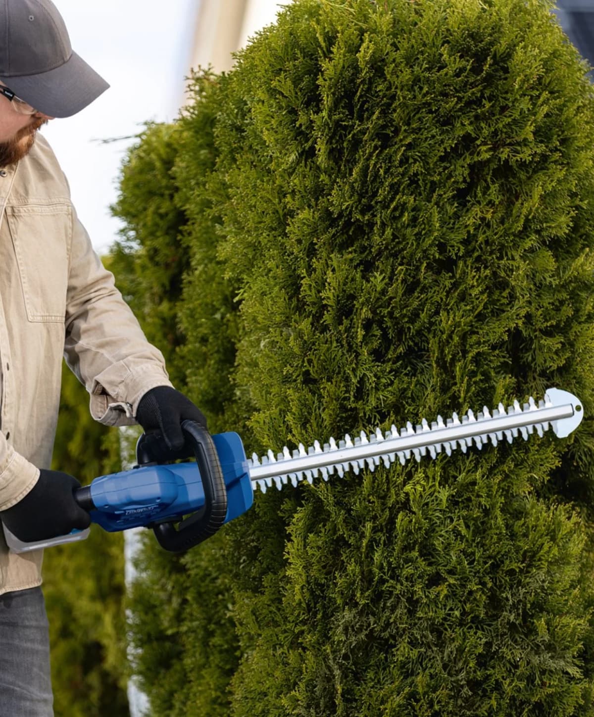 Scheppach Accu Heggenschaar 20V C-HT570-X thumbnail 2