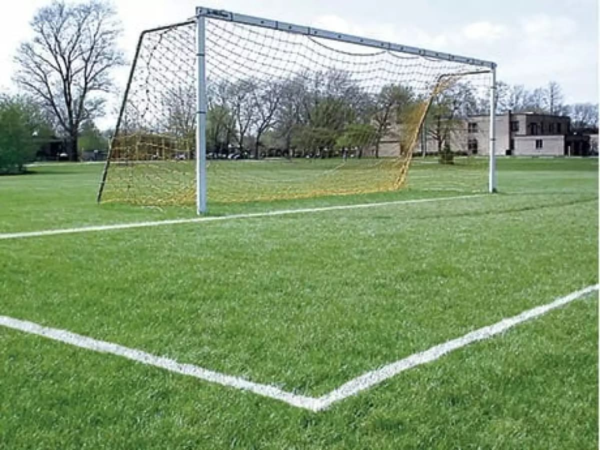 Rust-Oleum Hard Hat Lijnenverf Spuitbus - Ral 9017 - 0,75L thumbnail 2