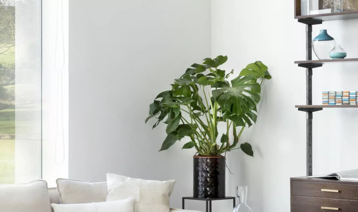 Flamant Wall Primer Blanc 5L thumbnail 2