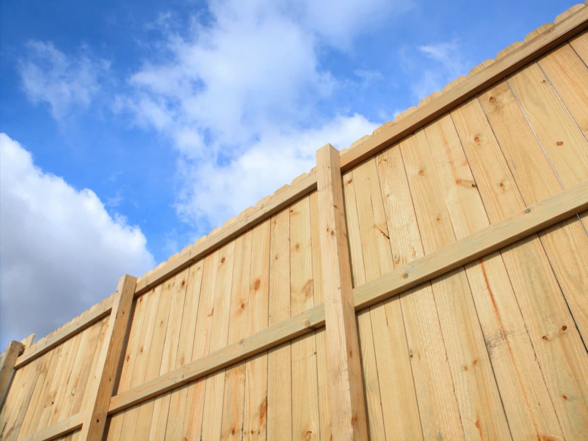 Finess Douglas Beits 2530 - Kleurloos - 2,5L thumbnail 2