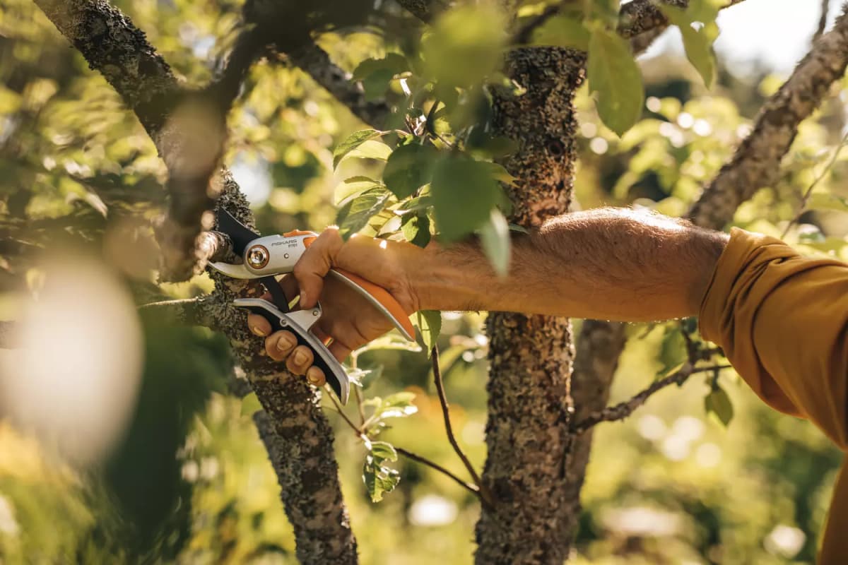 Fiskars 1057172 Plus PowerLever Metalen Snoeischaar Bypass P751 - 24mm thumbnail 2