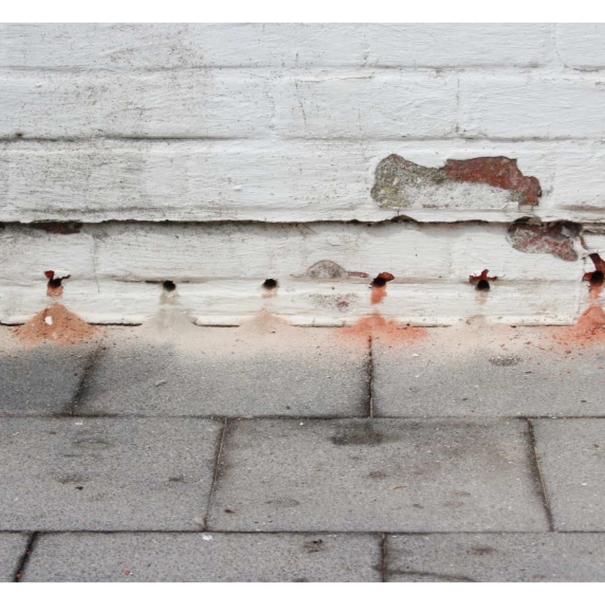 TEC7 WP7-402 Stop Opstijgend Vocht - 550ML+TIP (3st) thumbnail 2