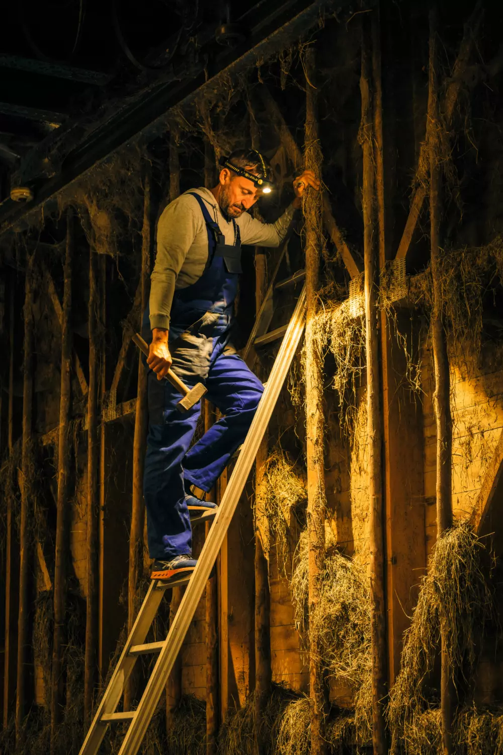 Ledlenser H7R Work LED Hoofdlamp - Oplaadbaar - 1000Lm - IP67 thumbnail 2