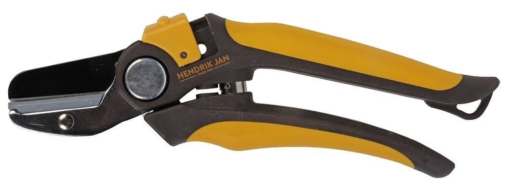 Hendrik Jan snoeischaar aambeeld 16 mm