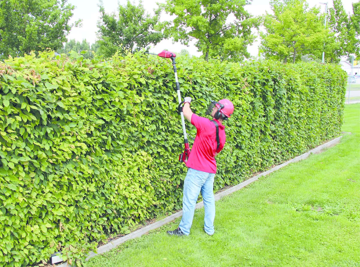 Einhell GE-HC 18 Li T Kit Accu Multitool thumbnail 10