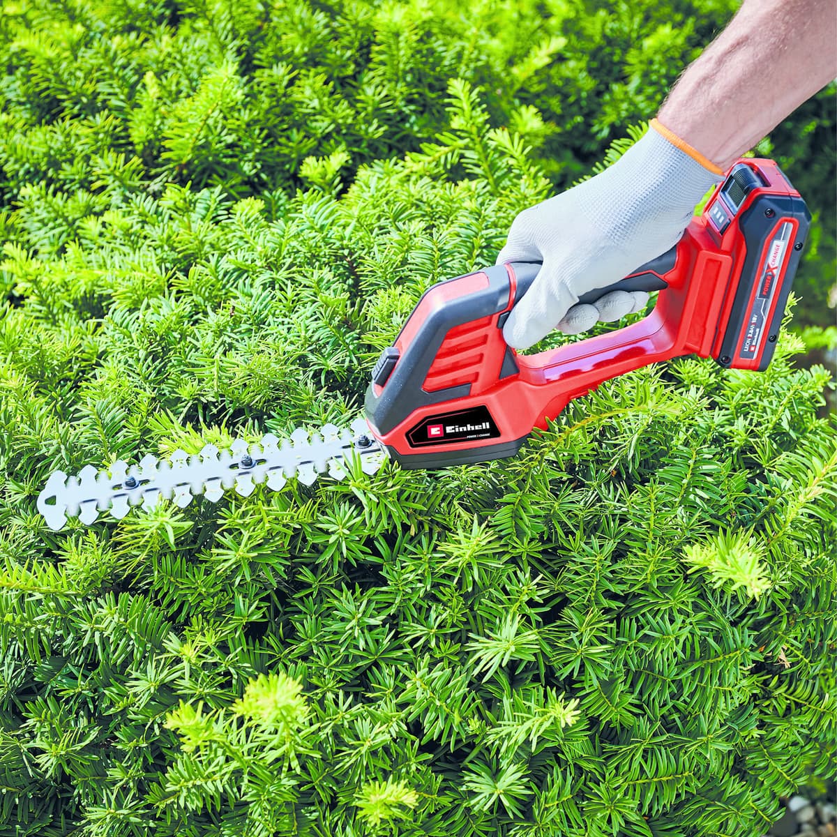 Einhell GE-CG 18/100 Li SOLO Accu Gras- en Heggenschaar thumbnail 9
