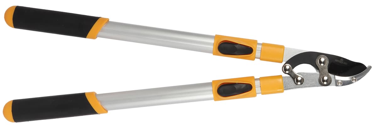 Hendrik Jan takkenschaar aambeeld telescopisch 34 mm