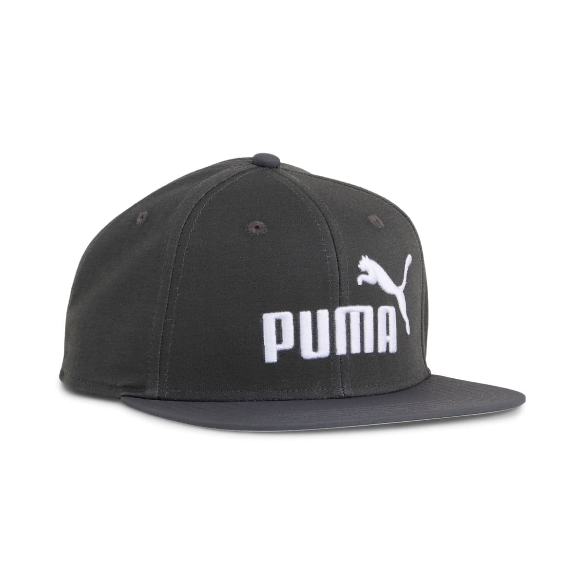 PUMA ESS No. 1 Logo pet met platte rand, Grijs