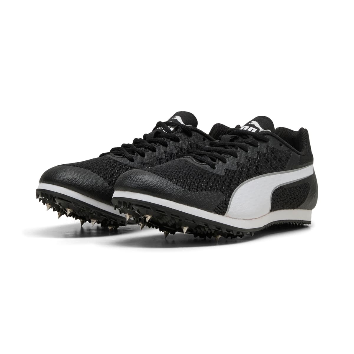PUMA evoSpeed Star 9 Spikes, Zwart/Wit, Maat 39 thumbnail 6