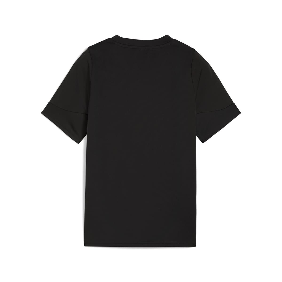 PUMA individualCUP voetbalshirt, Blauw/Zwart/Wit, Maat 13-14Y thumbnail 2