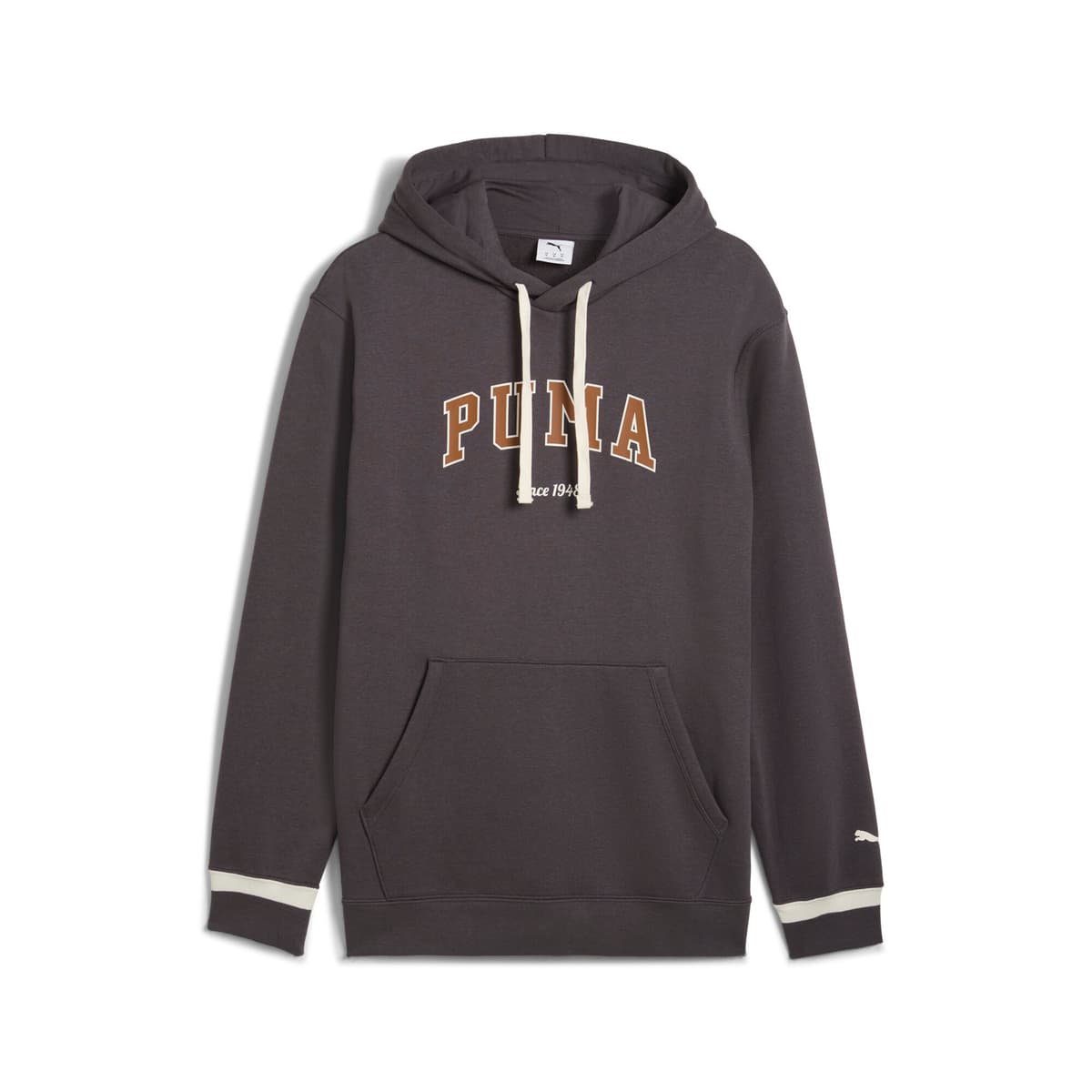 PUMA Varsity-hoodie voor Heren, Maat L