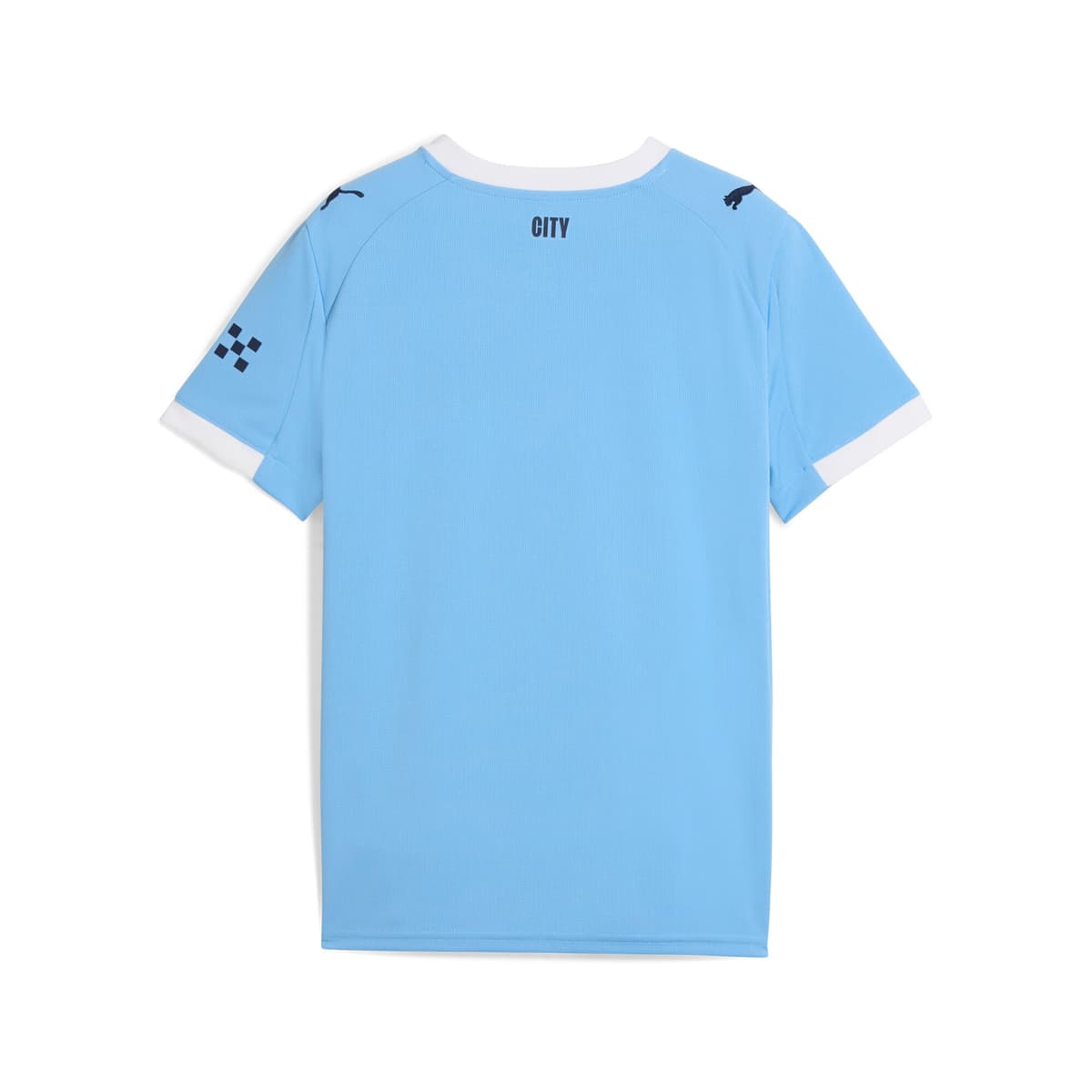 PUMA Manchester City 25/26 thuisshirt, Blauw/Wit, Maat 13-14Y thumbnail 2
