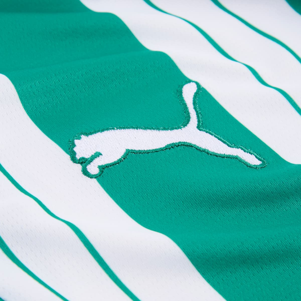 PUMA SK Rapid Wien 25/26 thuisshirt voor Heren, Groen/Wit, Maat 3XL thumbnail 2