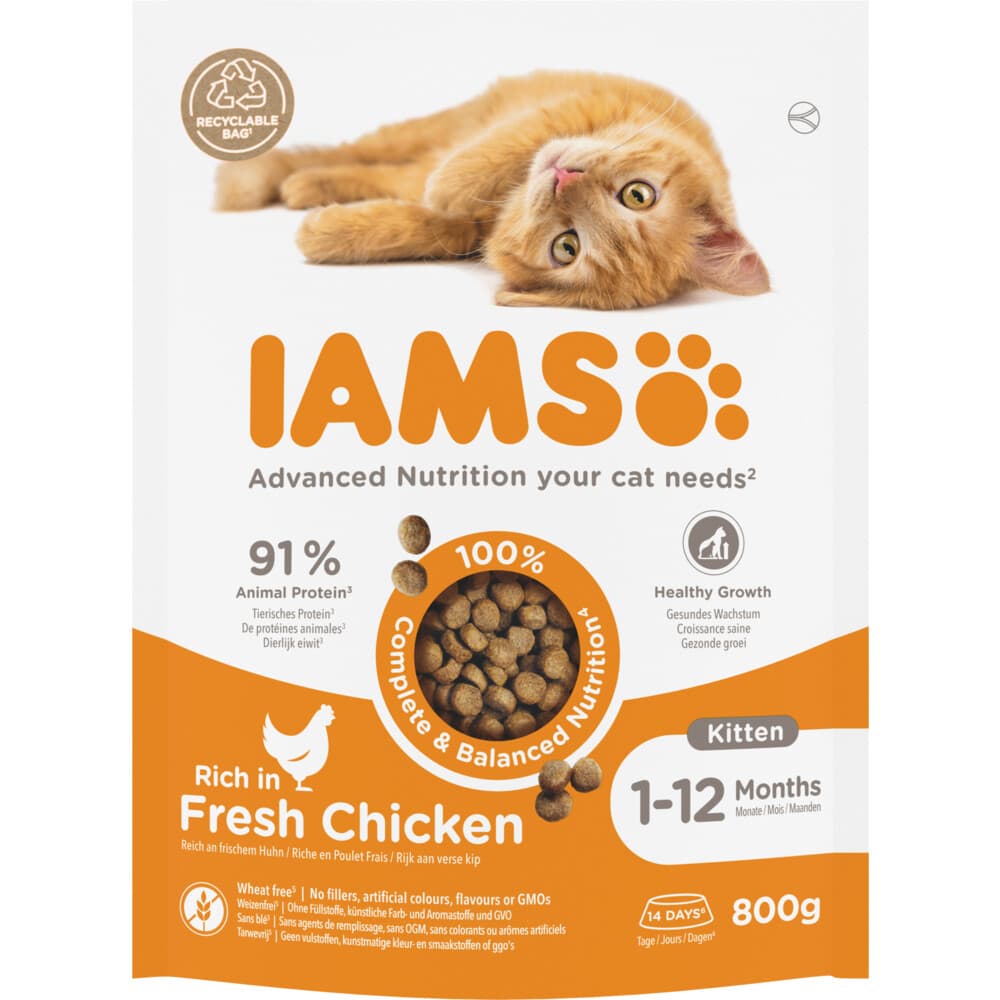 5x IAMS Kat Kitten/Junior Kip 800 gr