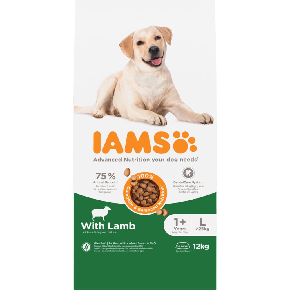 IAMS Dog Adult Large Lam 12 kg