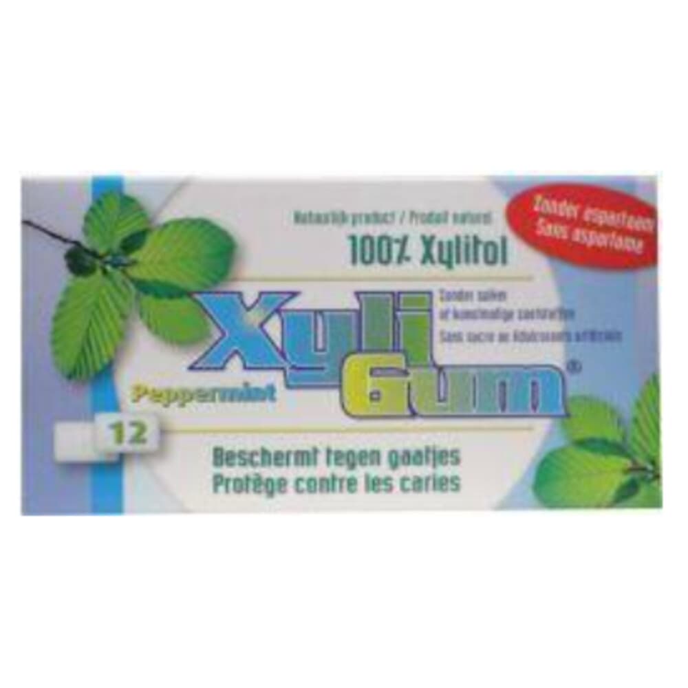 24x Xyligum Pepermunt 12 stuks