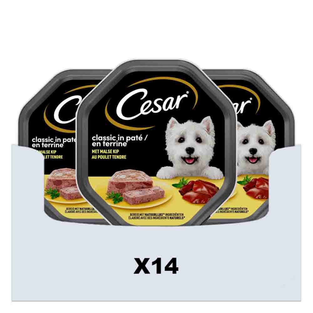 14x Cesar Alu Kip 150 gr