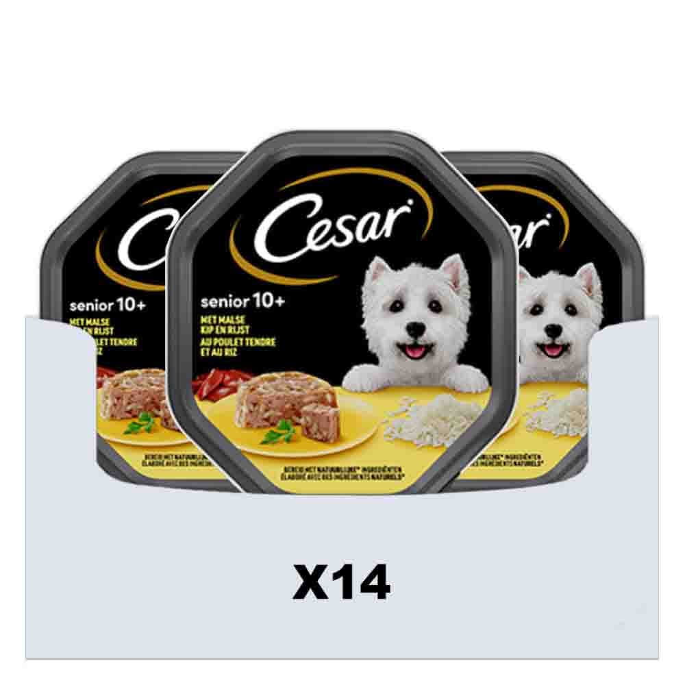 14x Cesar Senior in Gelei Kuipje Kip en Rijst 150 gr