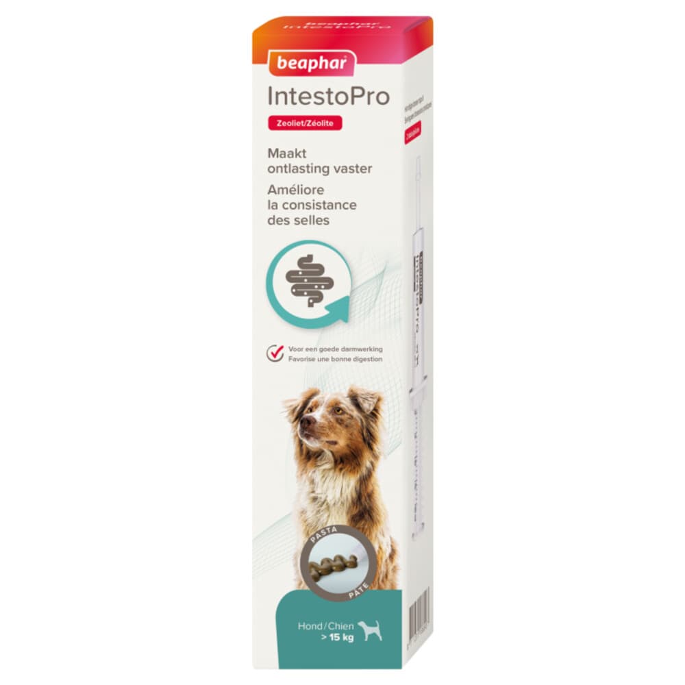 Beaphar IntestoPro Pasta Hond vanaf 15 kg 20 ml