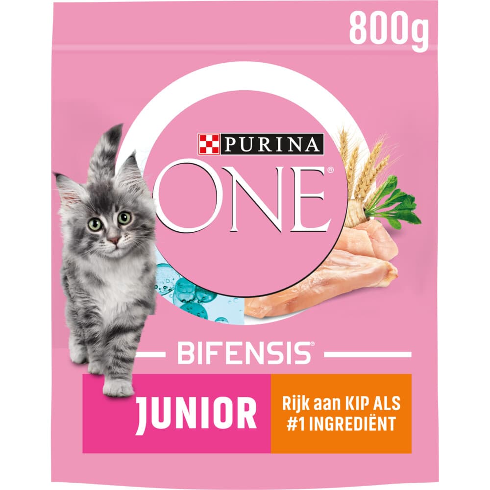 Purina ONE Kattenvoer Droog Junior Kip 800 gr