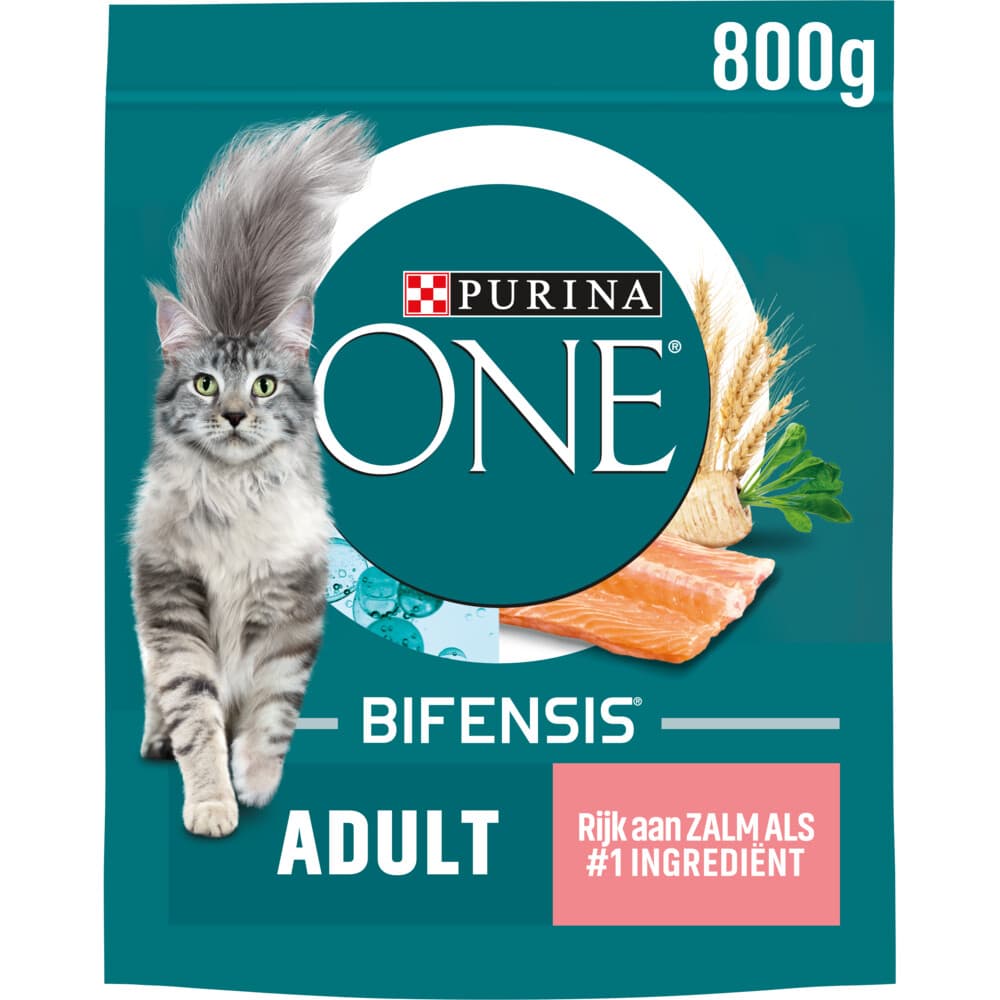 Purina ONE Kattenvoer Droog Adult Zalm - Volkoren Granen 800 gr