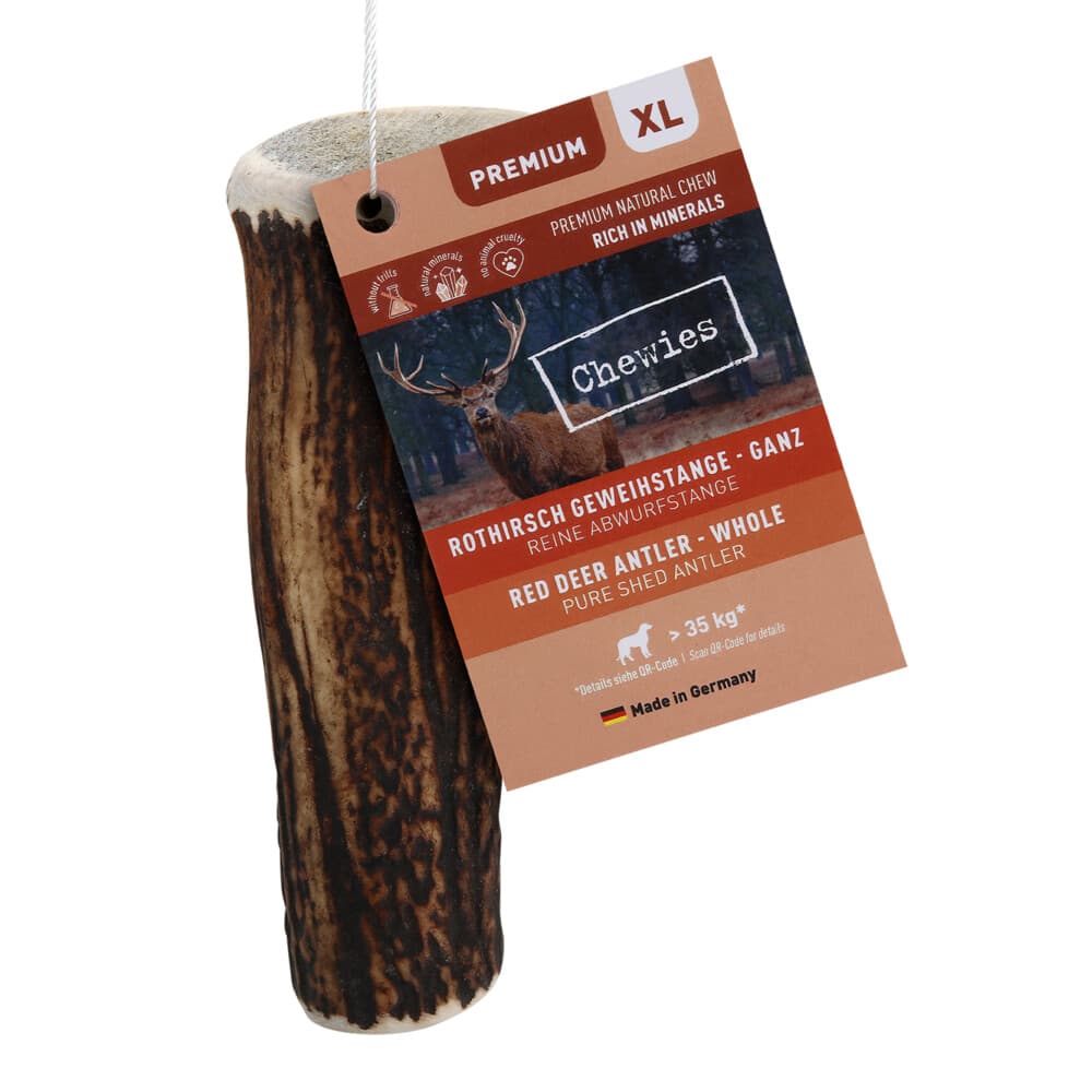 Chewies Edelherten Gewei Stang XL 250 gr