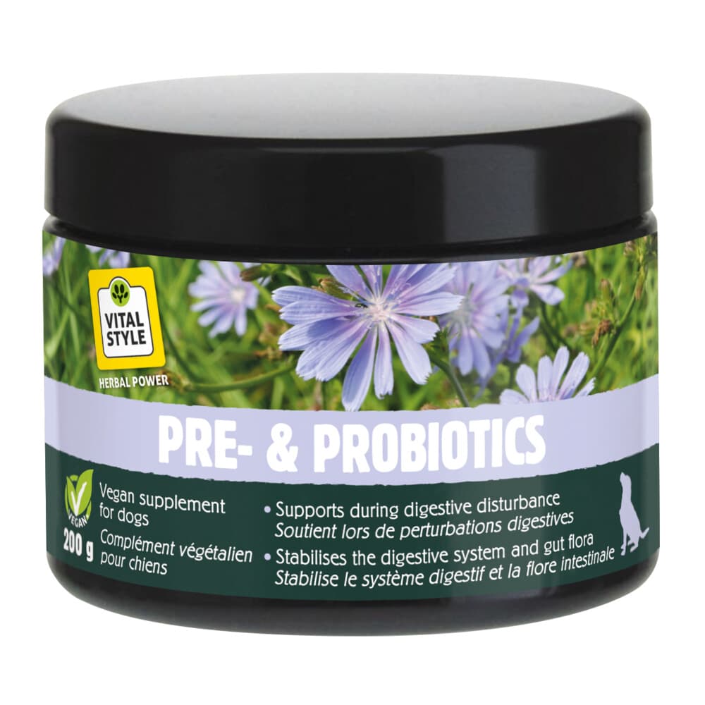 Vitalstyle Hond Pre&Probiotics 200 gr