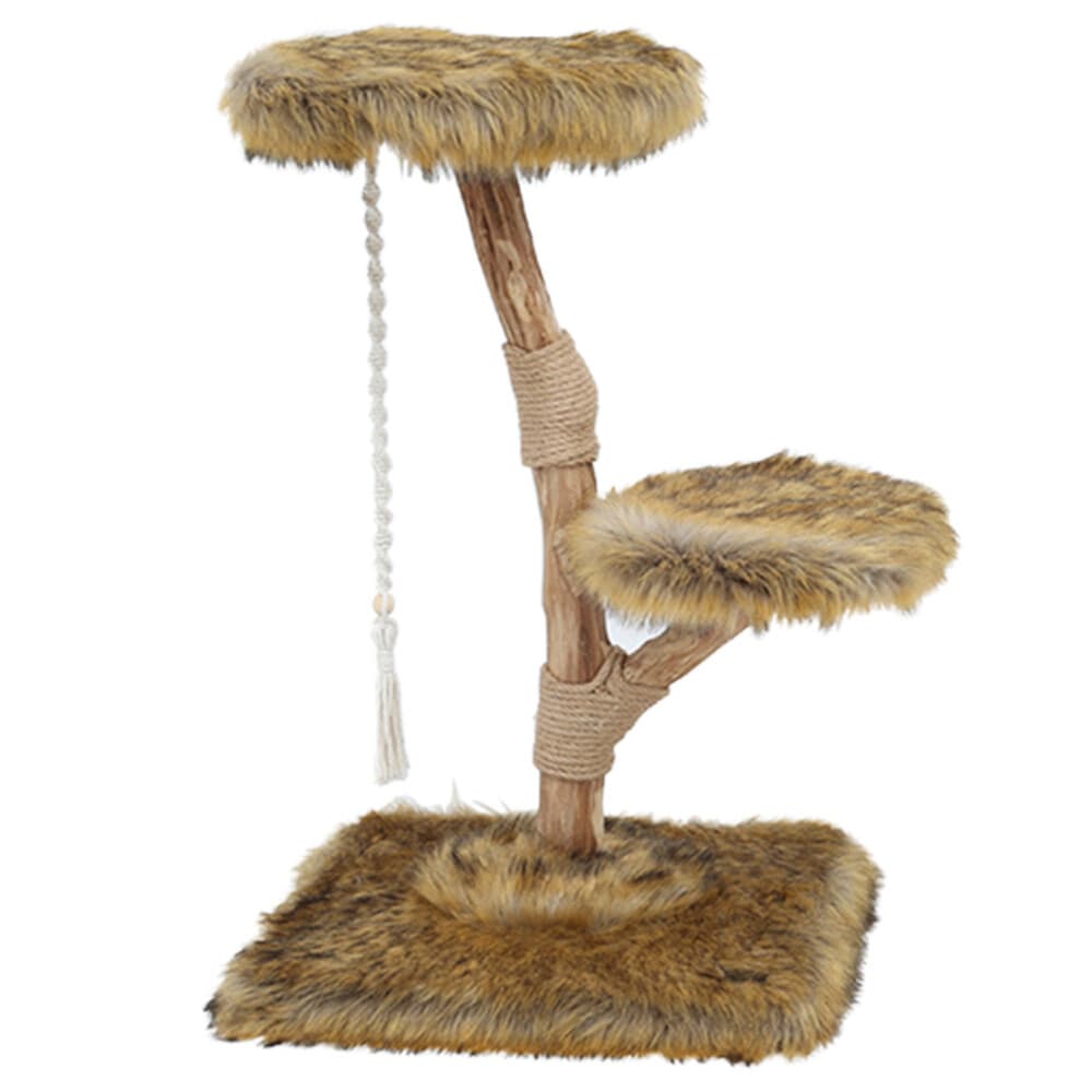 Boony Est 1941 Klimboom Prunus Grizzly Bruin 85 cm