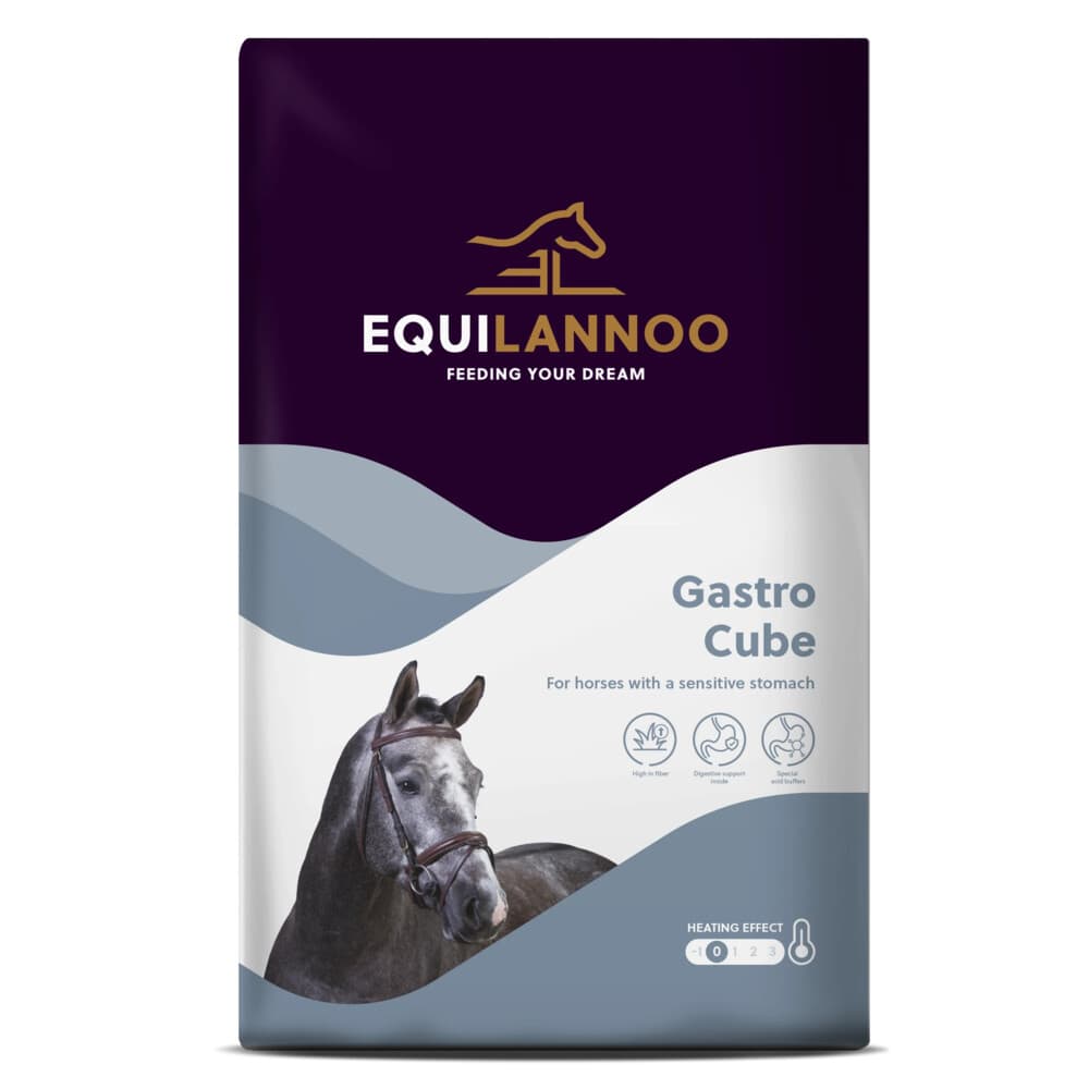 Equilannoo Gastro Cube 20 kg