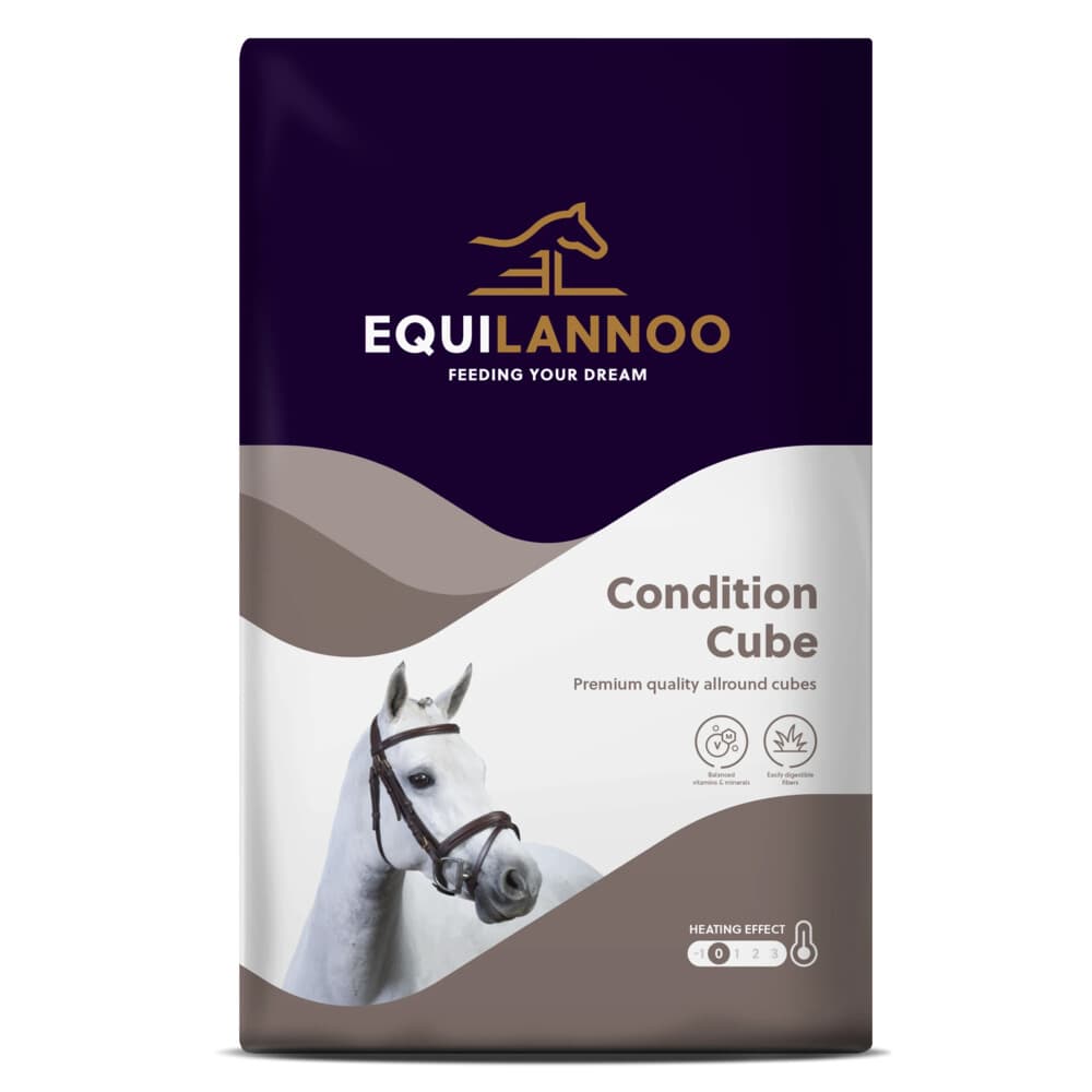 Equilannoo Condition Cube 20 kg