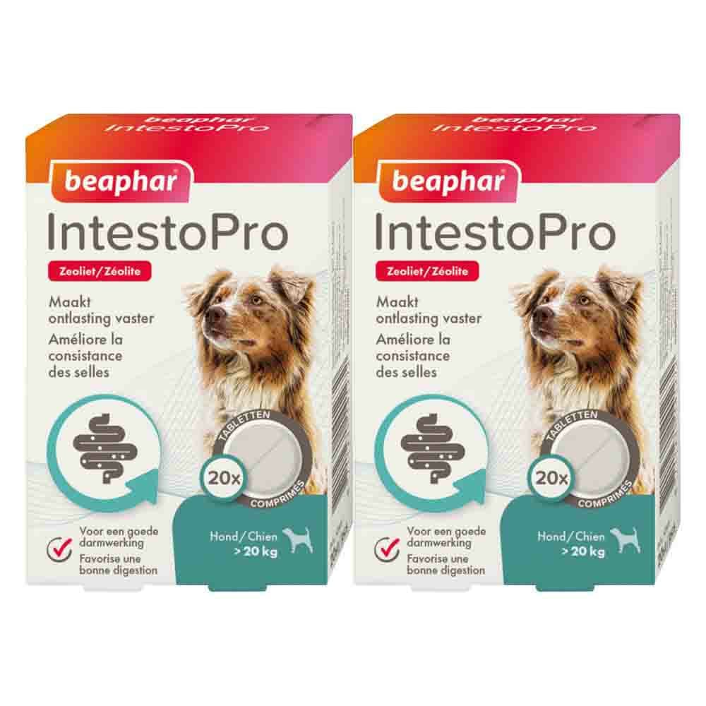 2x Beaphar IntestoPro Hond vanaf 20 kg 20 tabletten