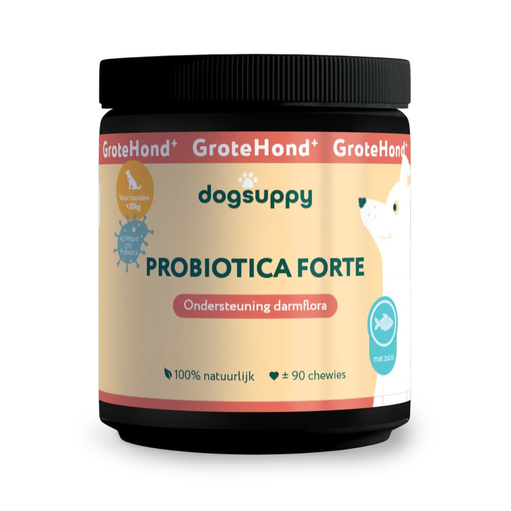 DogSuppy Grote Hond Probiotica Zalm 90 stuks