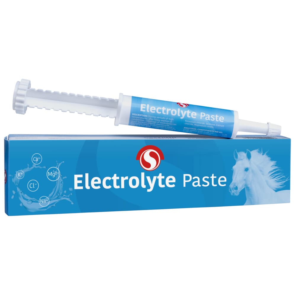 Sectolin Paardensupplement Electrolyte Paste 30 ml