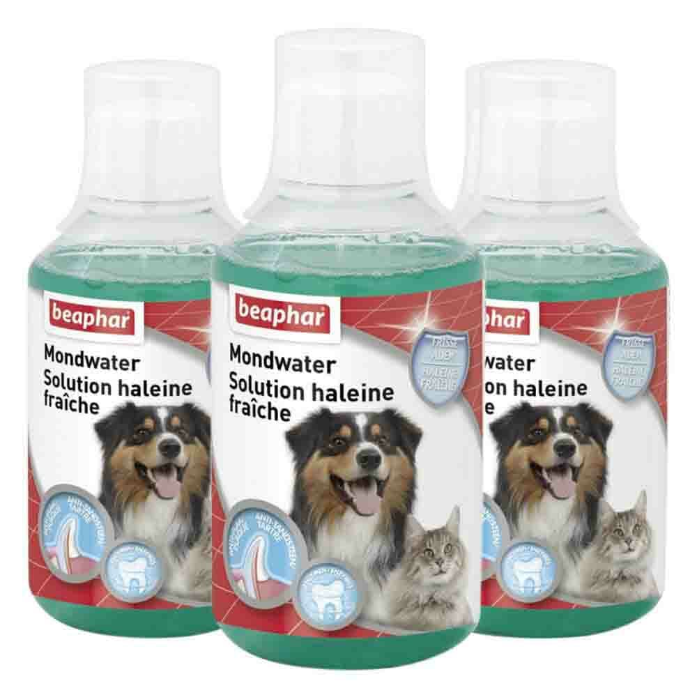 3x Beaphar Mondwater voor Hond&Kat 250 ml