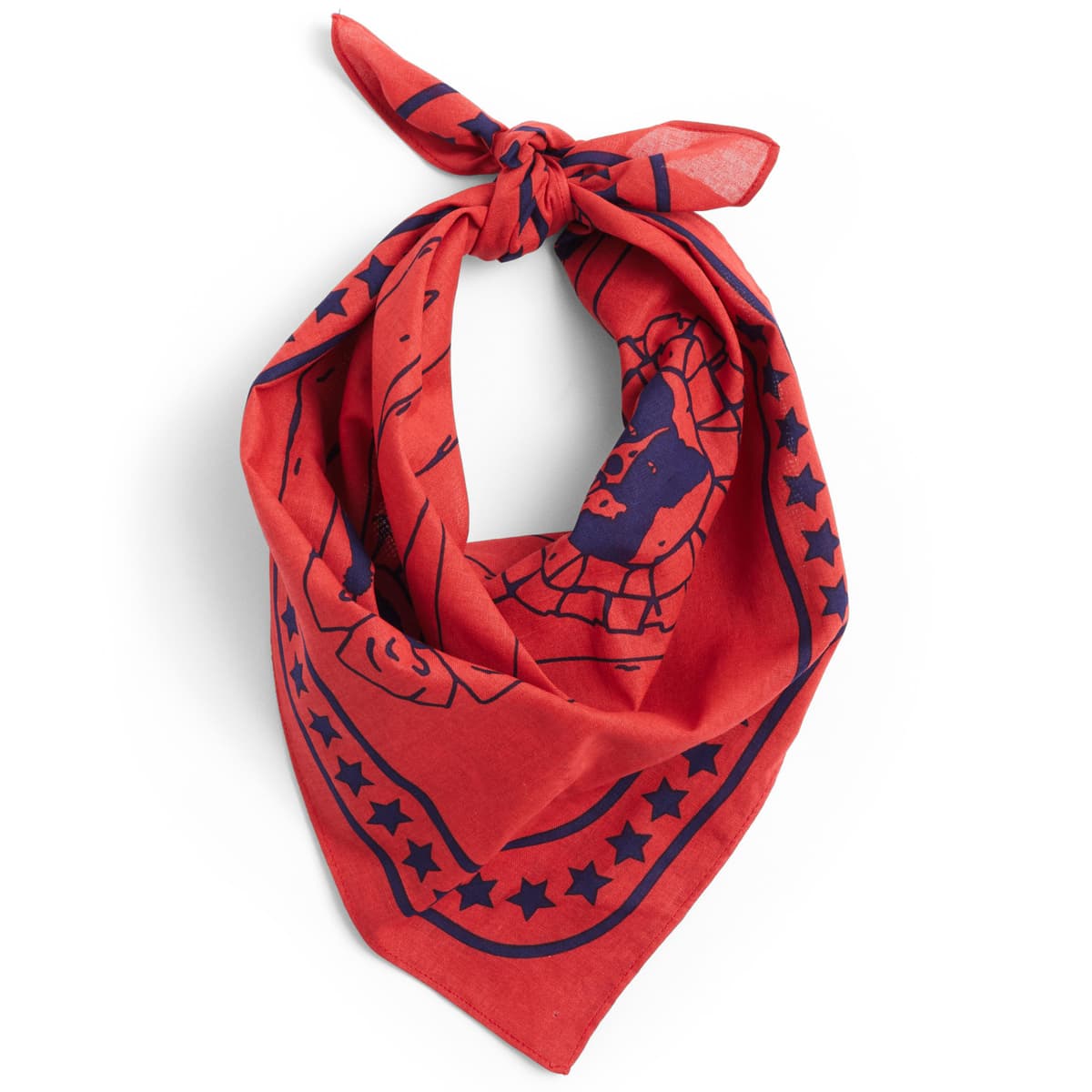 Hay Dogs Hondensjaal Gerecycled 55x55 Red