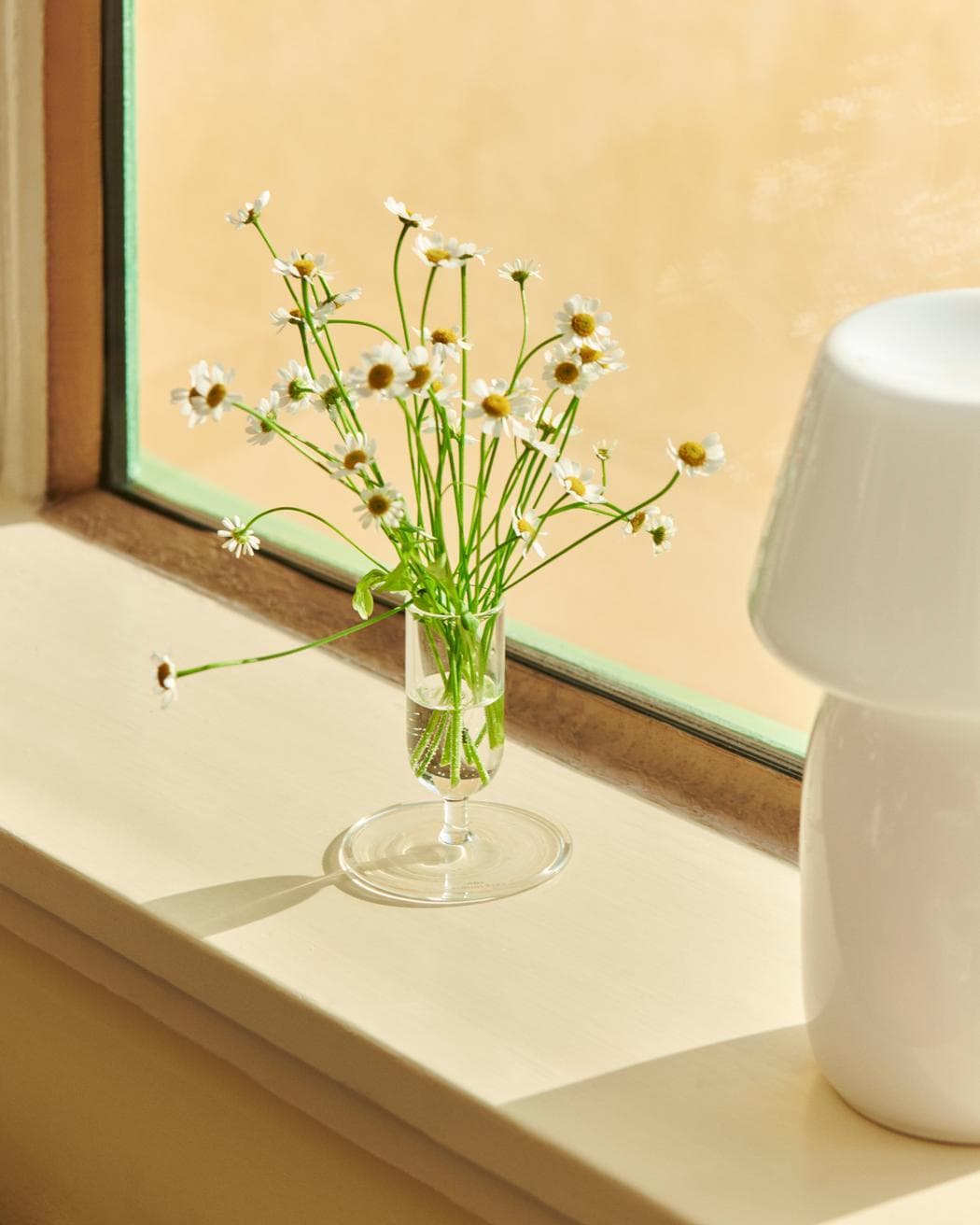 Hay Tiny Vaas Clear thumbnail 2