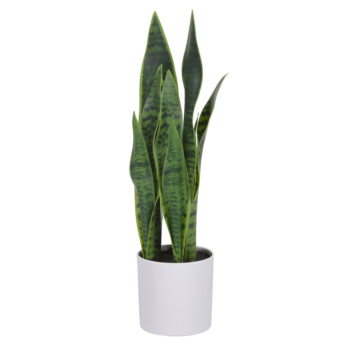 Kave Home Sansevieria Kunstplant 55