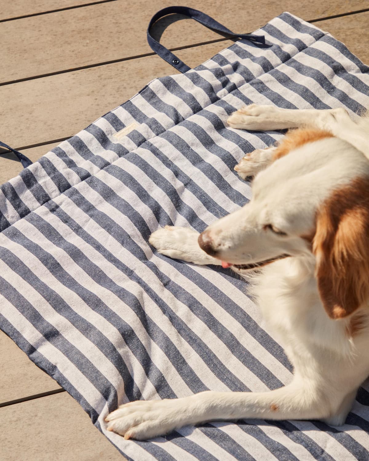 Kave Home Tabby Hondenplaid 80x100 Blauw thumbnail 3