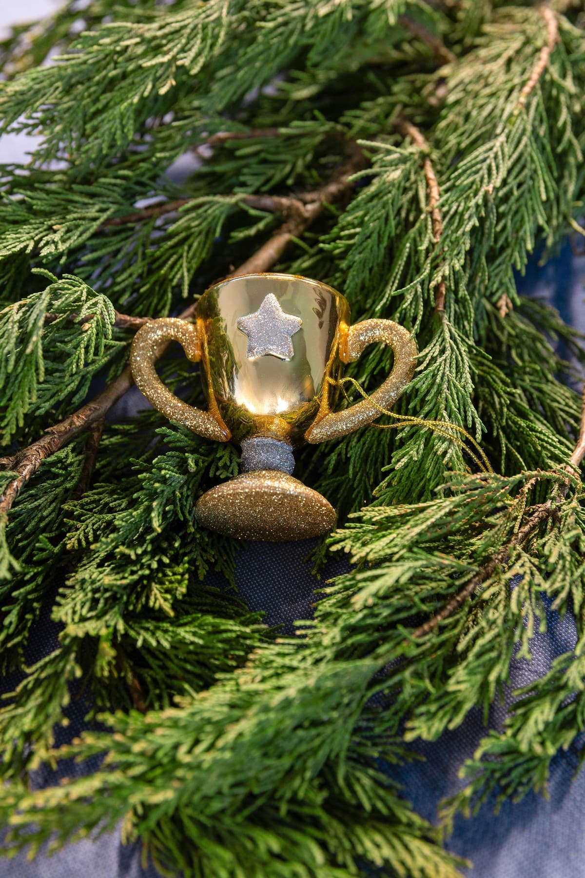 &klevering Trophy Roodtbal Ornament Zilver thumbnail 2