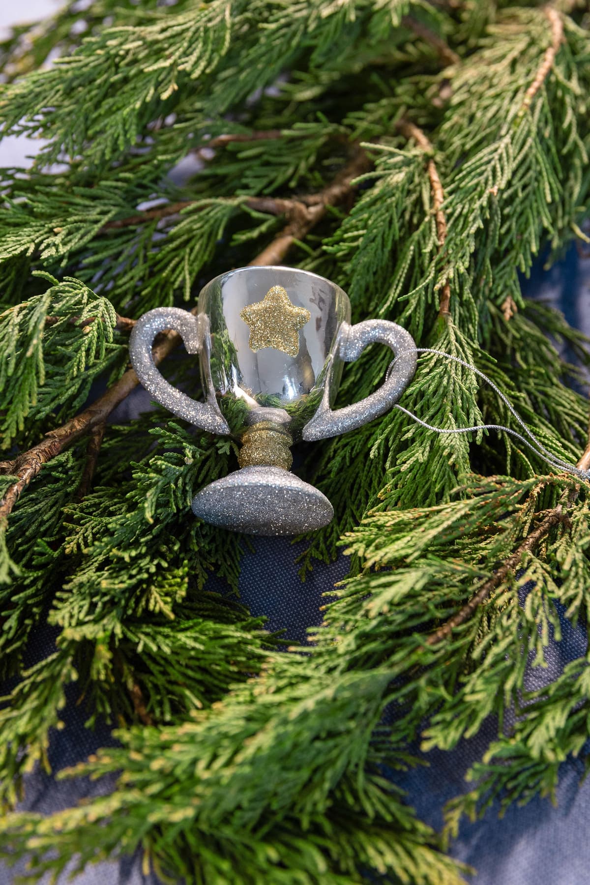 &klevering Trophy Roodtbal Ornament Zilver thumbnail 3