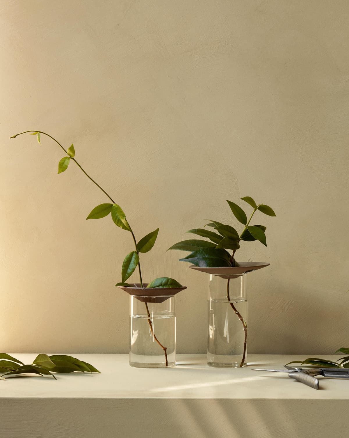 Audo Copenhagen Cresco Propagation Vaas Set Van 2 Transparant thumbnail 2