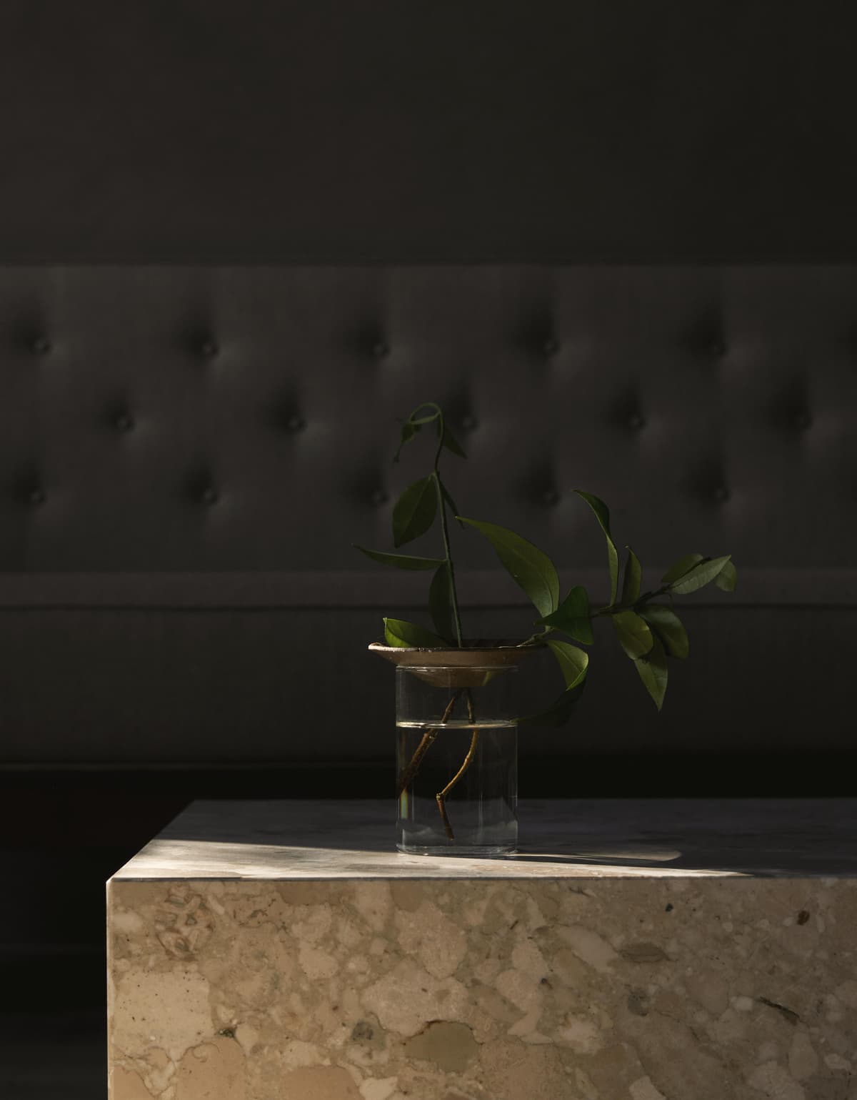 Audo Copenhagen Cresco Propagation Vaas Set Van 2 Transparant thumbnail 4