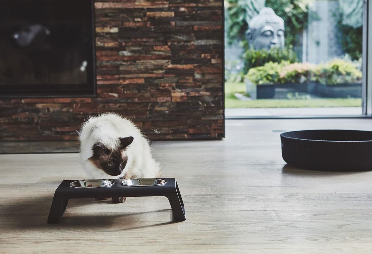 MiaCara Desco Kattenvoerbak Aluminium Grijs thumbnail 3